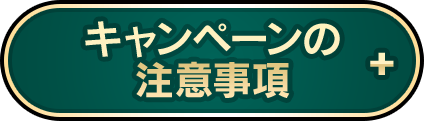 キャンペーンの注意事項