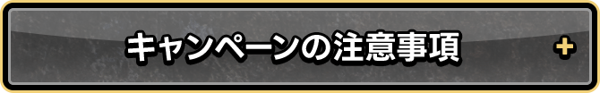 キャンペーンの注意事項